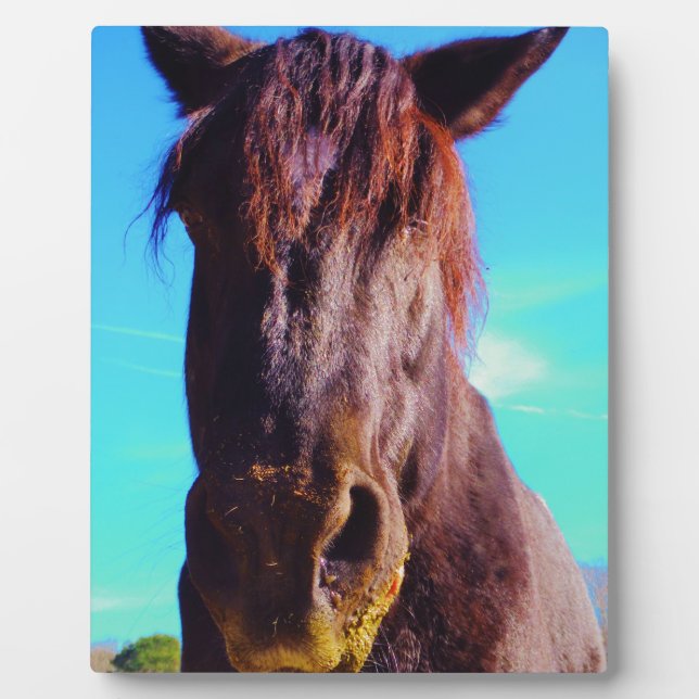 Plaque Photo Cheval pourpre avec Bouche verte (Devant)