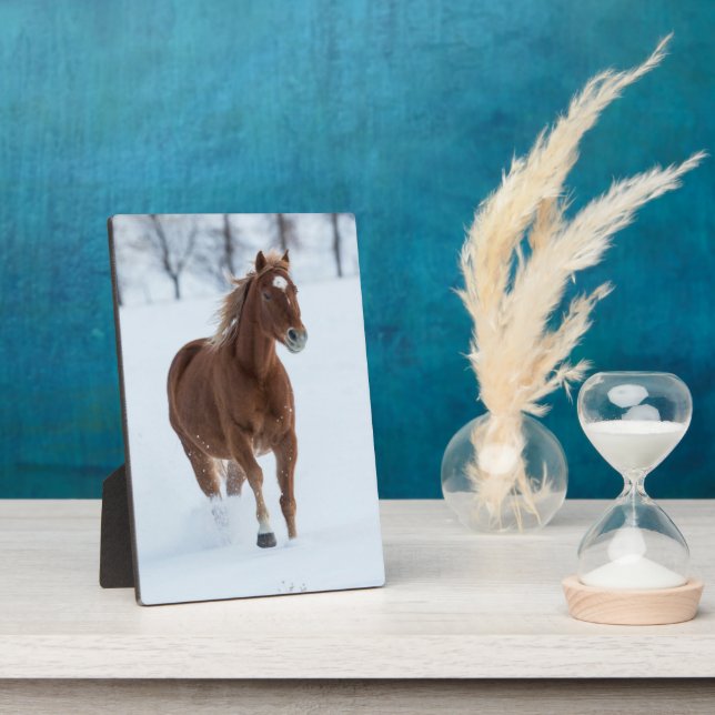 Plaque Photo Cheval seul courant dans la neige (Côté)