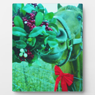 Plaque Photo Cheval Turquoise Mistletoe de Noël