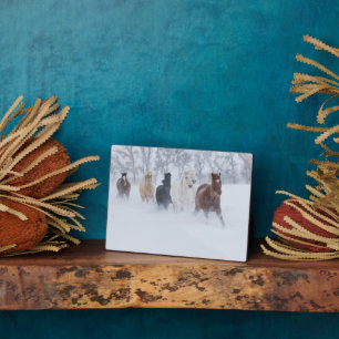 Plaque Photo Chevaux à travers la neige