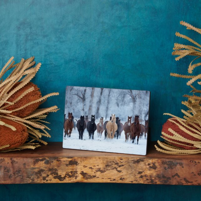Plaque Photo Chevaux dans le froid (Côté)