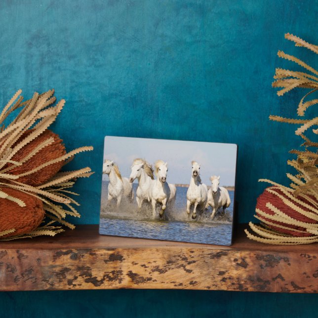 Plaque Photo Chevaux de Camargue (Côté)