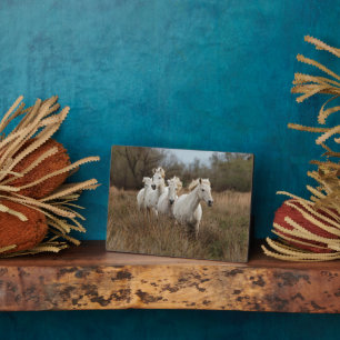 Plaque Photo Chevaux de Camargue en course