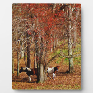 Plaque Photo Chevaux jumeaux Brown et blancs