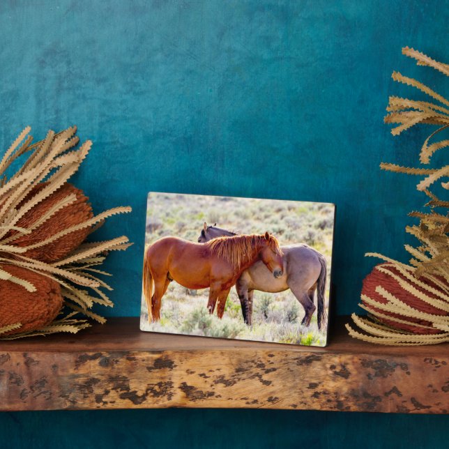 Plaque Photo Chevaux sauvages (Côté)