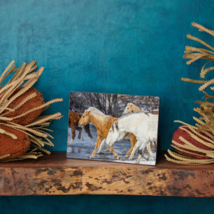 Plaque Photo Chevaux traversant le ruisseau