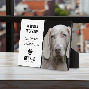 Plaque Photo Chien Fidèle Plus À Nos Côtés   Photo Souvenir