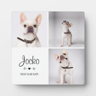 Plaque Photo Chien Memorial Animaux de compagnie Perdre Garde p