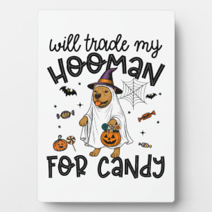 Plaque Photo Chien Pitpull Halloween Fantôme Épouvantable