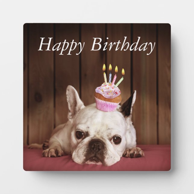 Plaque Photo Chien-taureau français avec Cupcake d'anniversaire (Devant)