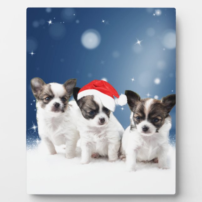 Plaque Photo Chihuahua Chiuppies mignonnes avec Noël du Père No (Devant)