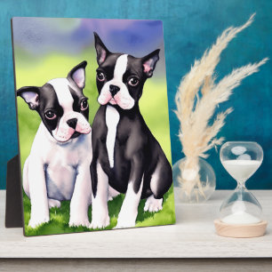 Plaque Photo Chiots Boston Terrier Aquarelle sur Table