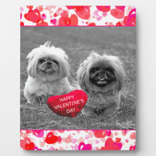 Plaque Photo Chiots Pekingese souhaitant Heureuse Sainte-Valent