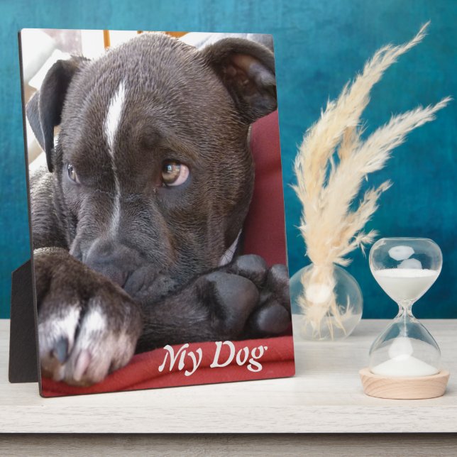 Plaque Photo Chiots Pitbull pour bébé modifiables (Côté)