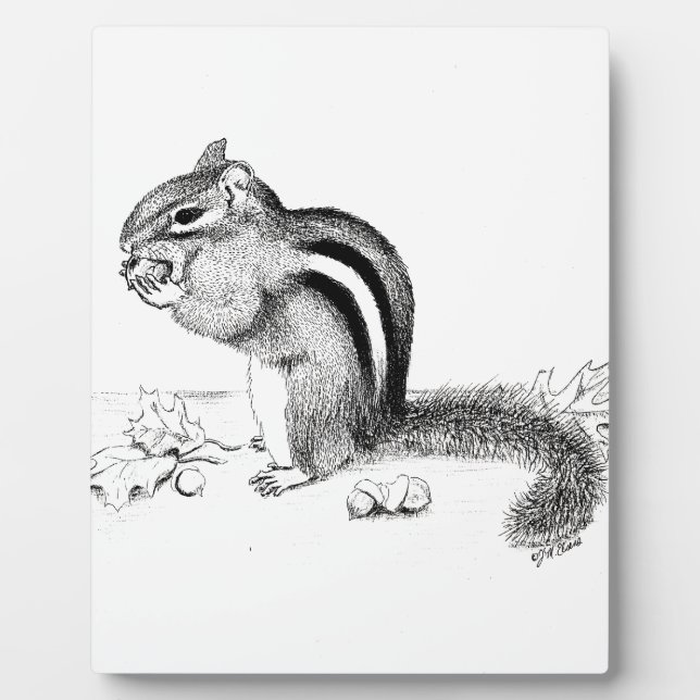 Plaque Photo Chipmunk (Devant)