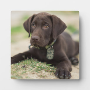Plaque Photo Chocolat blanc