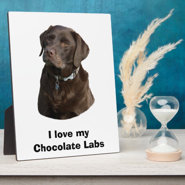 Plaque Photo Chocolate Labrador dog photo (Côté)