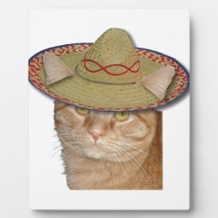 Plaque Photo Cinco de Gato