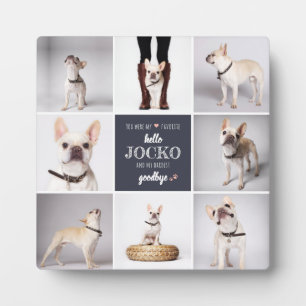 Plaque Photo Citation de sympathie pour mémorial d'animal de co