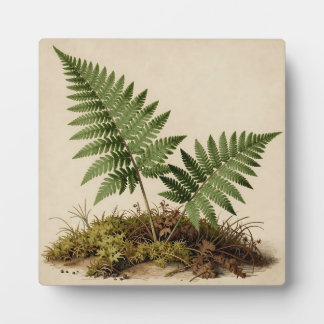 Plaque Photo Classic Fern Botanical