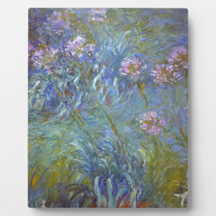 Plaque Photo Claude Monet - Agapanthus Peinture De Fleurs Class