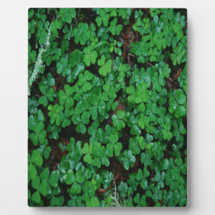 Plaque Photo Clover vert