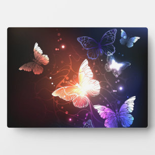 Plaque Photo Clowing Night Butterflies