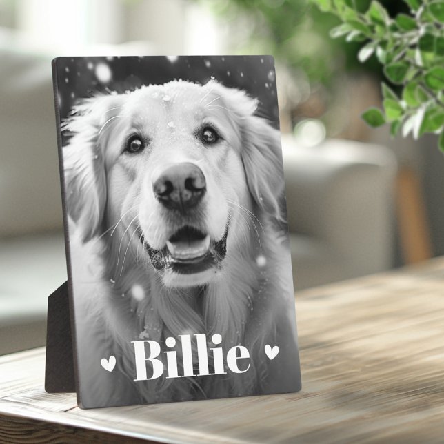 Plaque Photo Coeurs de nom de chat de chien animal (Pet dog cat name hearts plaque)