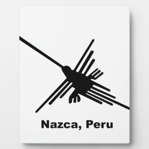 Plaque Photo Colibri Nazca, Pérou