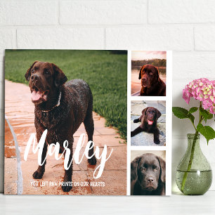 Plaque Photo Collage photo Customisé de perte d'animal de compa