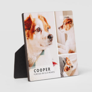 Plaque Photo Collage photo géométrique simple moderne Mémorial 