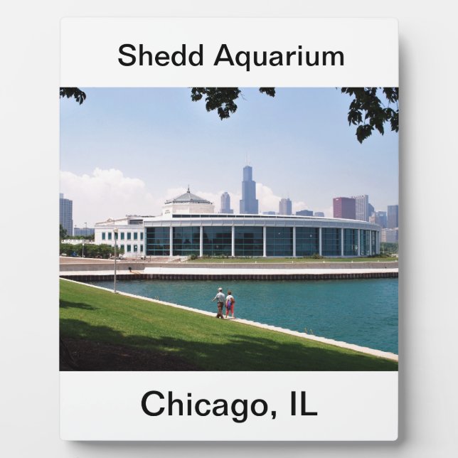 Plaque Photo Collection de l'aquarium de Chicago Shedd (Devant)