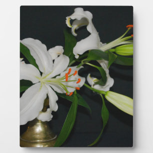 Plaque Photo Collection Irlandaise de laiton et de fleurs