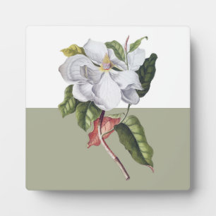 Plaque Photo Colorbloc vintage en fleur de Magnolia