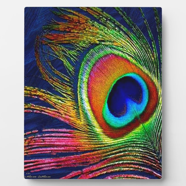 Plaque Photo Colorful Peacock Feather (Devant)