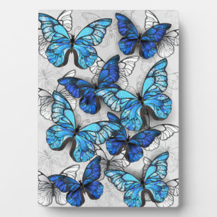 Plaque Photo Composition des White and Blue Butterflies
