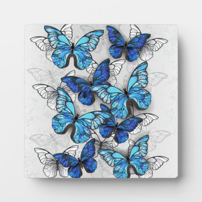 Plaque Photo Composition des White and Blue Butterflies (Devant)