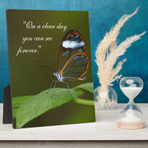 Plaque Photo Conception de papillon de Glasswing "temps clair"