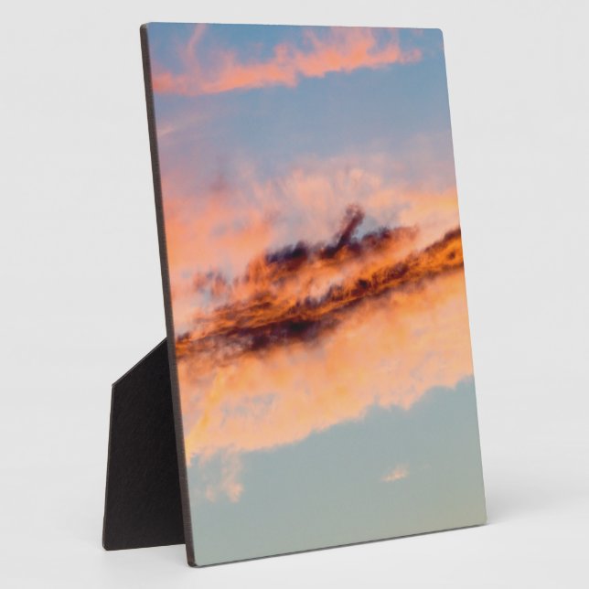 Plaque Photo consommation d'attraction (Côté)