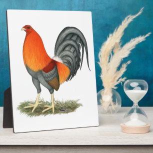 Plaque Photo Coq de combat bleu coq rouge