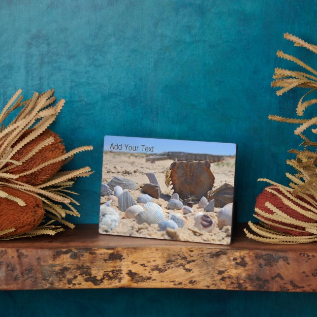 Plaque Photo Coquillages sur la plage par Shirley Taylor (Côté)