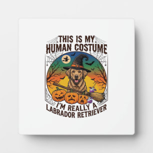 Plaque Photo Costume Humain Labrador Retriever Sorcière d'Hallo