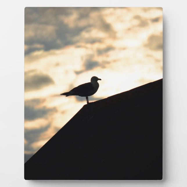 Plaque Photo Coucher de soleil de Sea Gull (Devant)