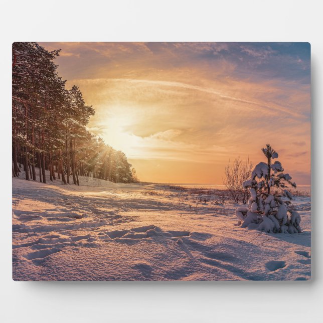 Plaque Photo Coucher de soleil sur la côte de la mer d'hiver (Devant)