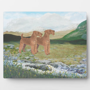 Plaque Photo Countryside