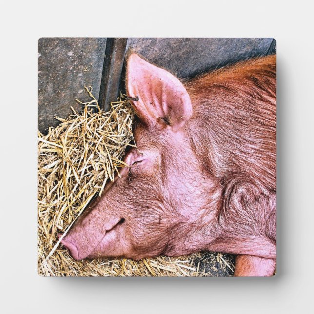 PLAQUE PHOTO COUPER (Devant)