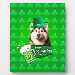 Plaque Photo Cute Siberian Husky Chien Casquette St. Patrick's 