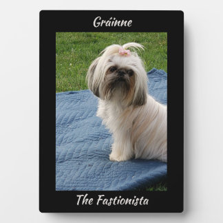Plaque Photo Cute White Yorkshire Terrier