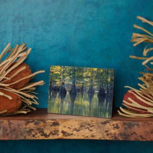 Plaque Photo Cyprès chauves   Horseshoe Lake Illinois