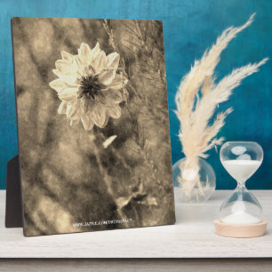 Plaque Photo Dahlia
